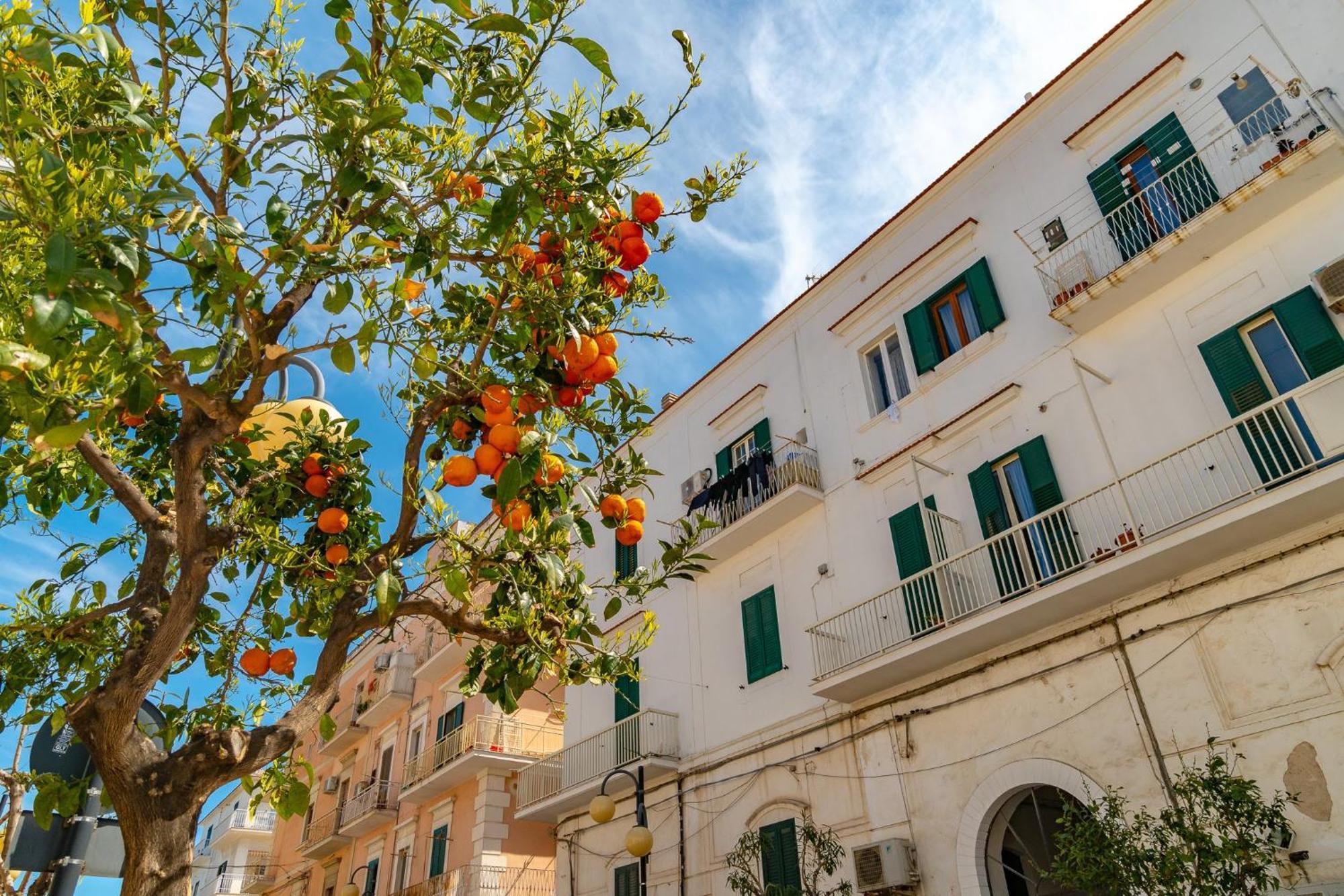 Villa Mapa - Appartamenti Vicino Al Mare فيستَ المظهر الخارجي الصورة